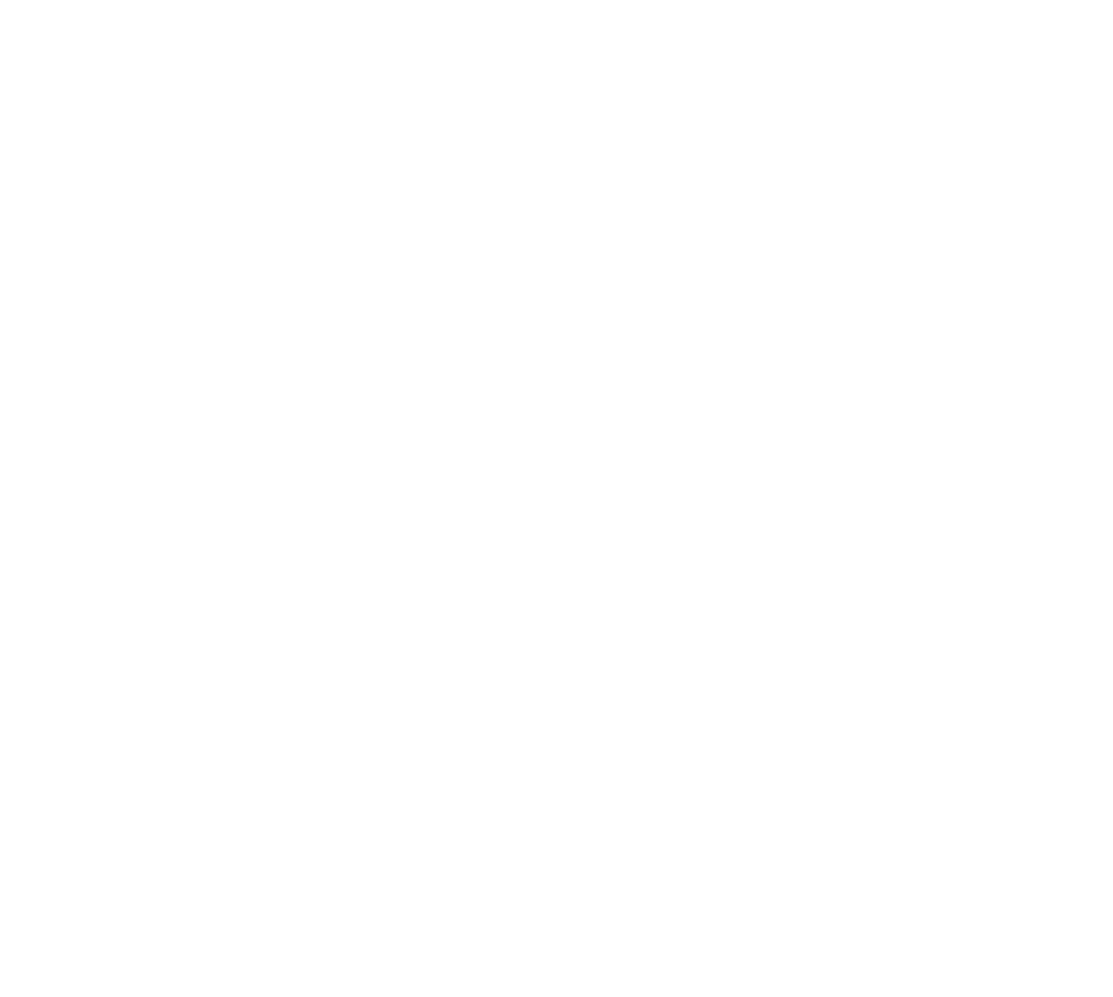 FlashTeck-Logo
